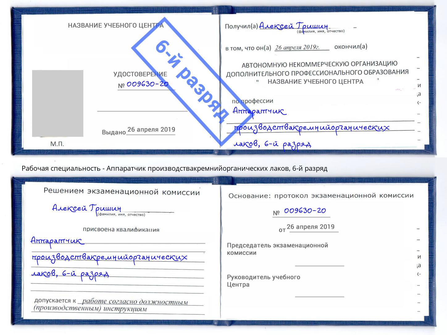 корочка 6-й разряд Аппаратчик производствакремнийорганических лаков Ивантеевка